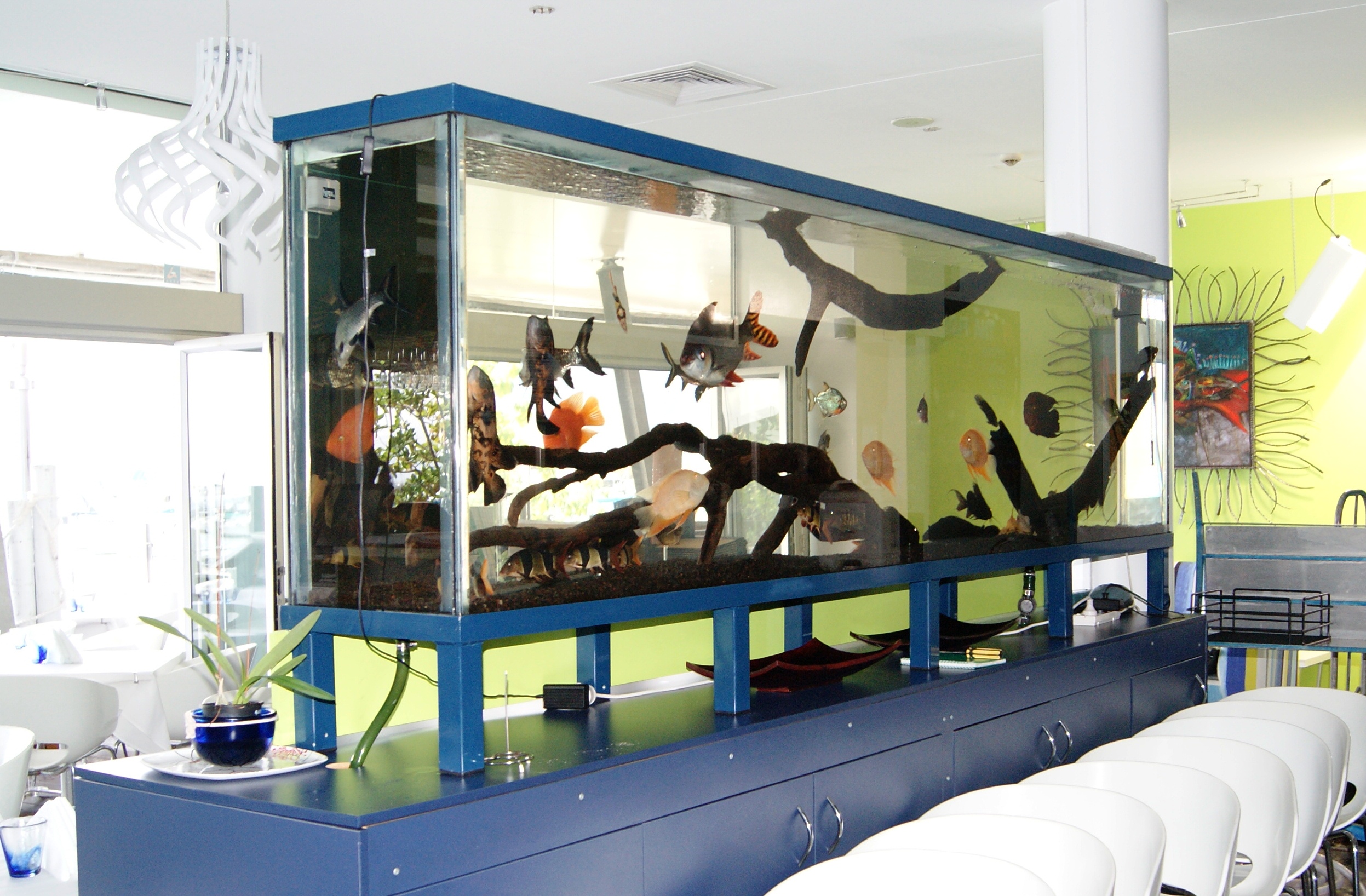 Fish tank from local seafood restaurant  3.20m long x 60cm wide x 1m long