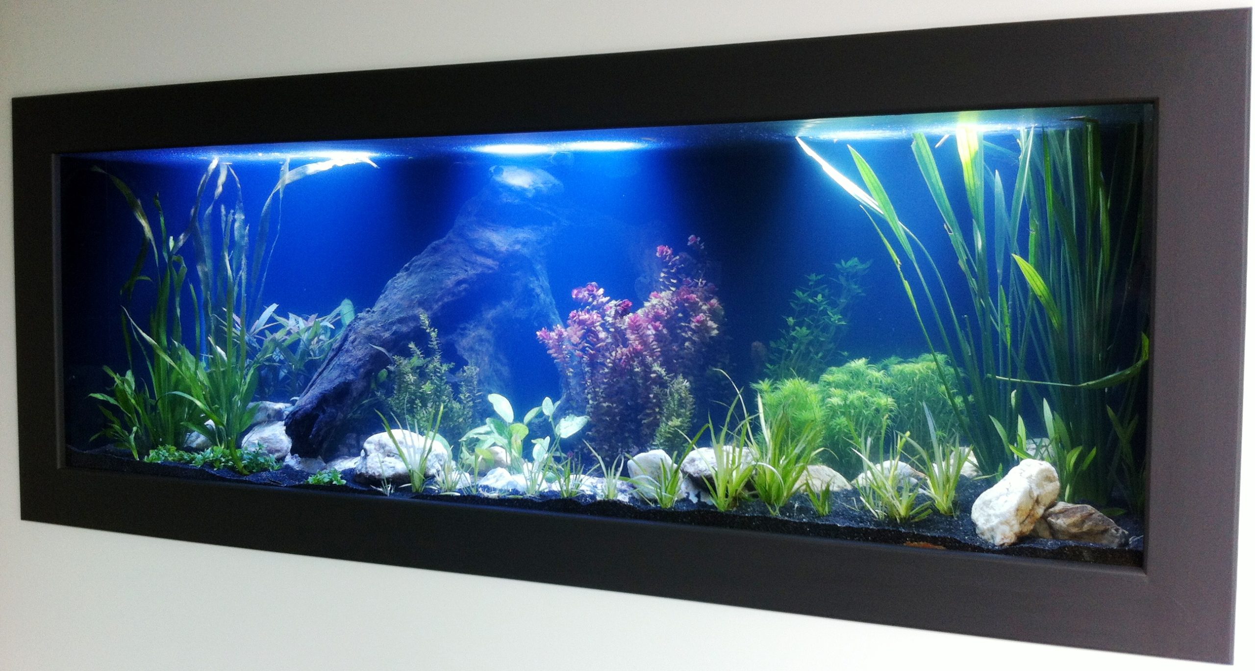 Fish tank in a private home  1.8m long x 80cm wide x 80cm deep